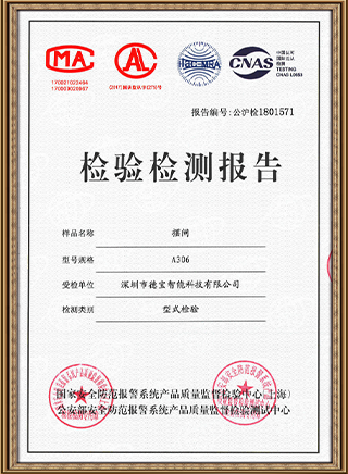China Public Security Ministry